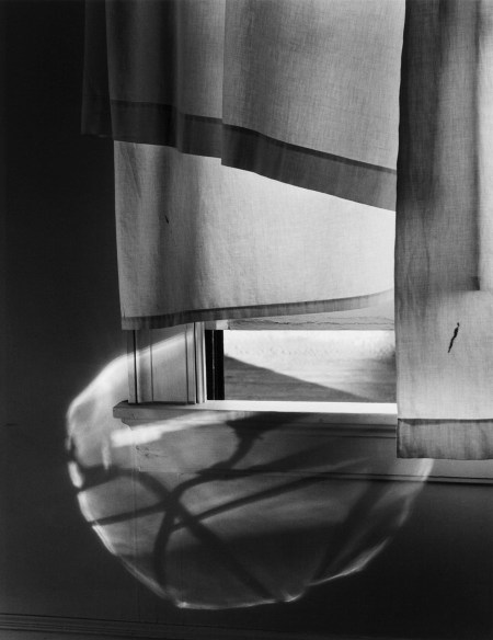 Minor White, Windowsill Daydreaming, Rochester, 1958