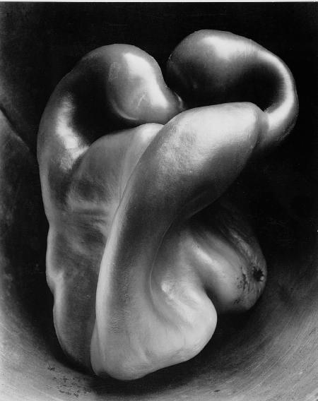 Edward Weston, Pepper, 1930