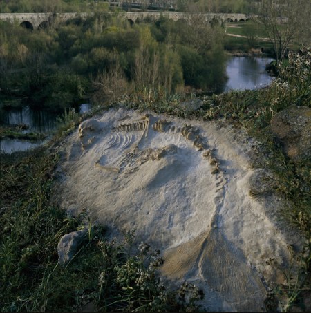 ©Joan Fontcuberta, Sirena del Tormes, dalla serie Sirens, 2006