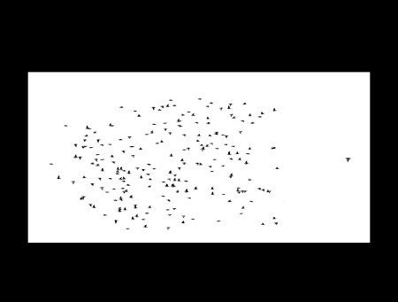 ©Gigi Lusini, da Flussi