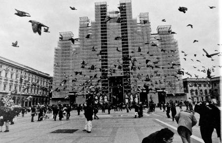 Stefano Pacini, Uccelli, Mialno, 2002