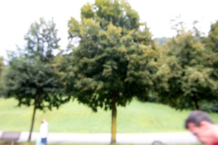 © Efrem Raimondi. All rights reserved.