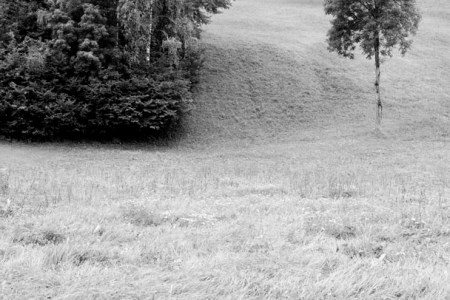 © Efrem Raimondi. All rights reserved.