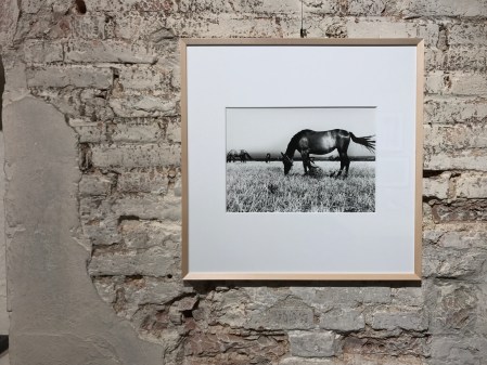 Stefano Fantini, Allestimento mostra Giacomelli, 8 stampe vintage