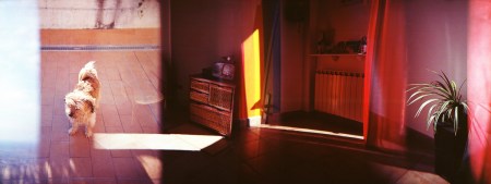 ©Tiziana Nanni, Tenere insieme le cose