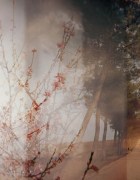 ©Tiziana Nanni, Tenere insieme le cose