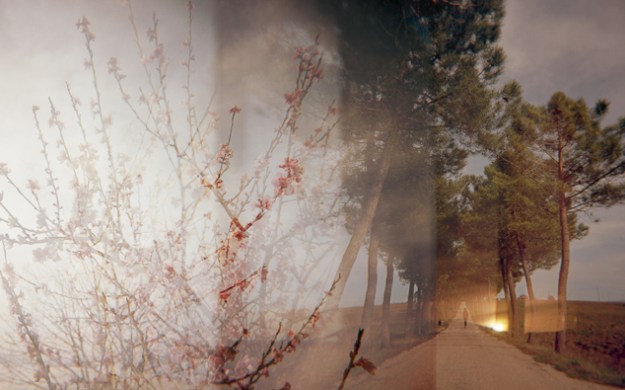 ©Tiziana Nanni, Tenere insieme le cose