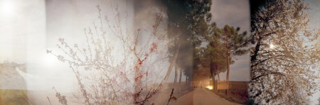 ©Tiziana Nanni, Tenere insieme le cose